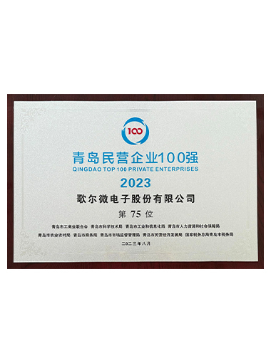 2023年青岛市民营企业100强