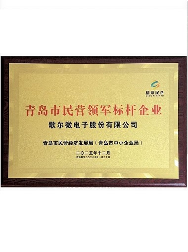 Qingdao Municipal Leading and Benchmark Private Enterprises